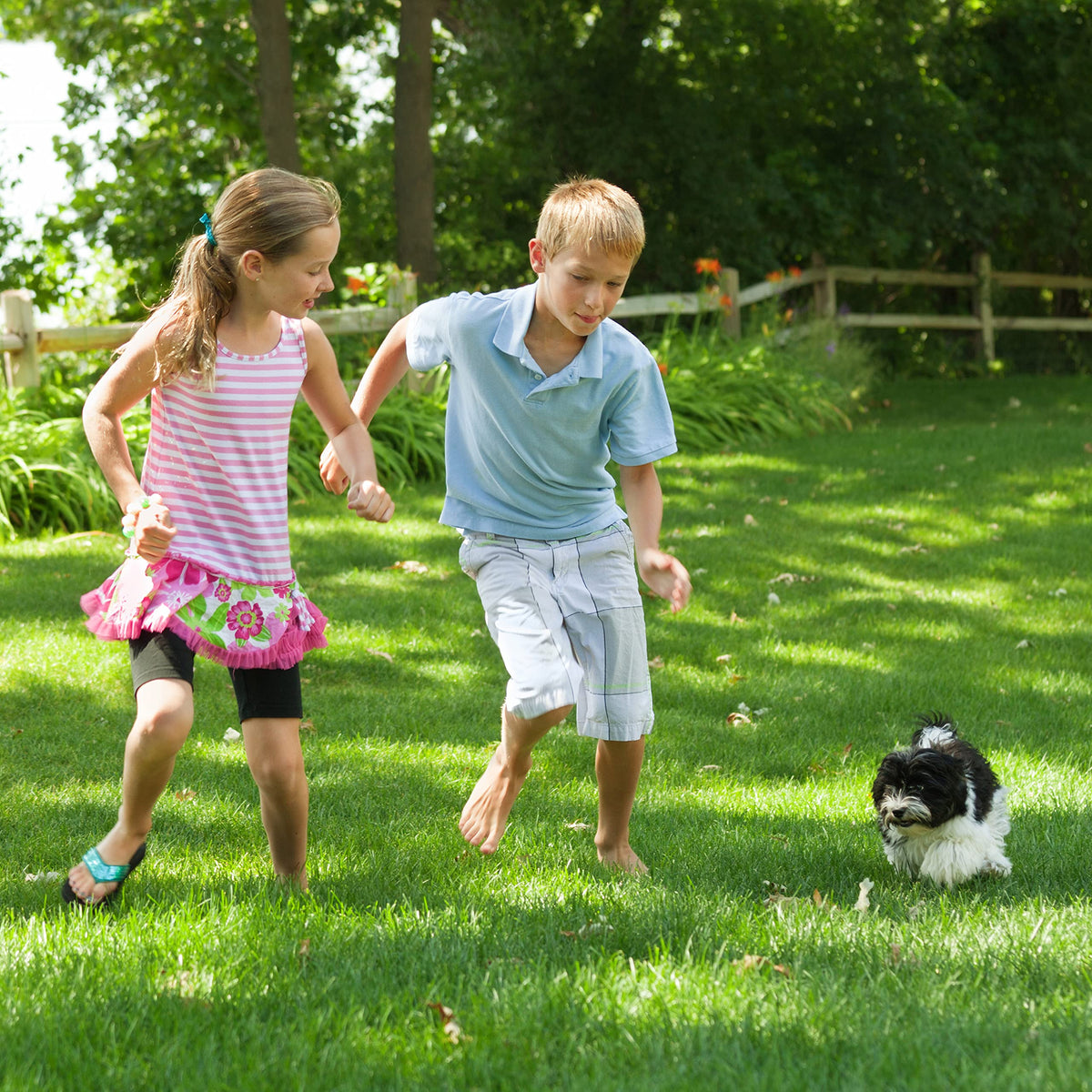 Purely Organic Lawn Food application showing even coverage on a green lawn