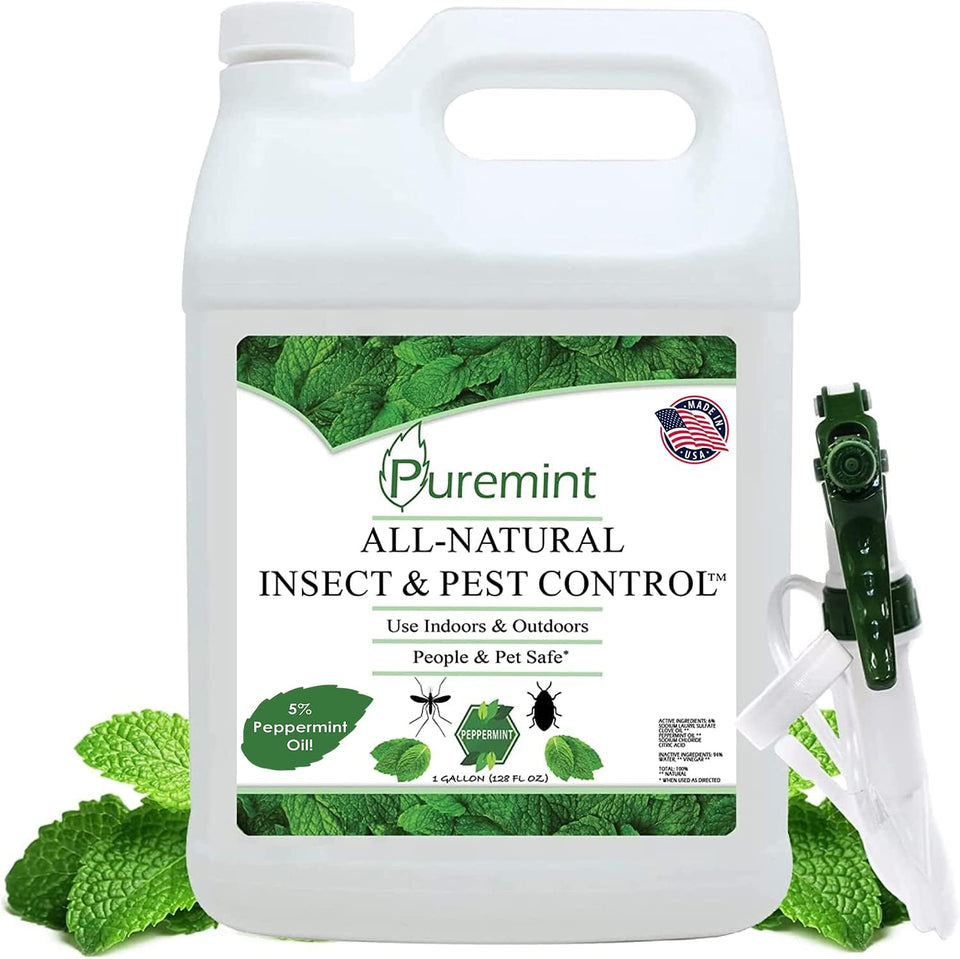 Puremint Insect & Pest Control bottle pour for quick indoor coverage