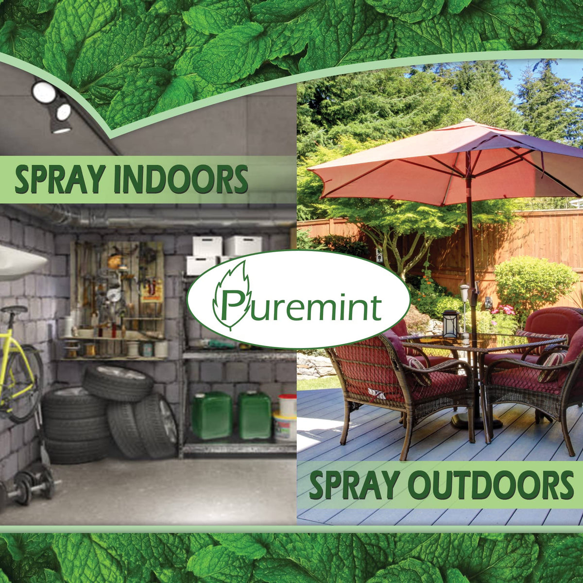 Puremint plant garden application coats foliage to discourage insects