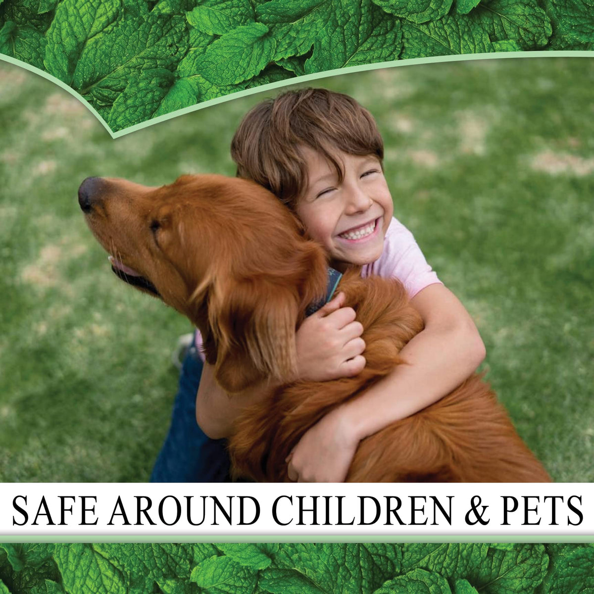 Puremint spray safe for people, plants, and pets when used as directed