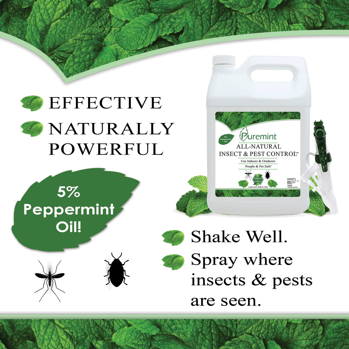 Puremint spray mist ready to apply on home surfaces
