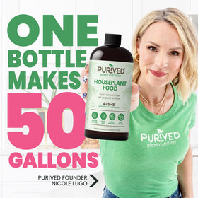 Purived fertilizer dissolving in water ready to feed indoor plants efficiently.