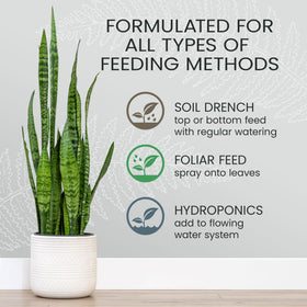 Purived foliar feed on leaves delivers nutrients directly to foliage.
