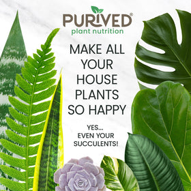 Purived soil drench application around potted plant improves root access.
