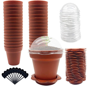 Purple Star 1N 30-pack nursery pots with humidity domes support healthy seedling germination