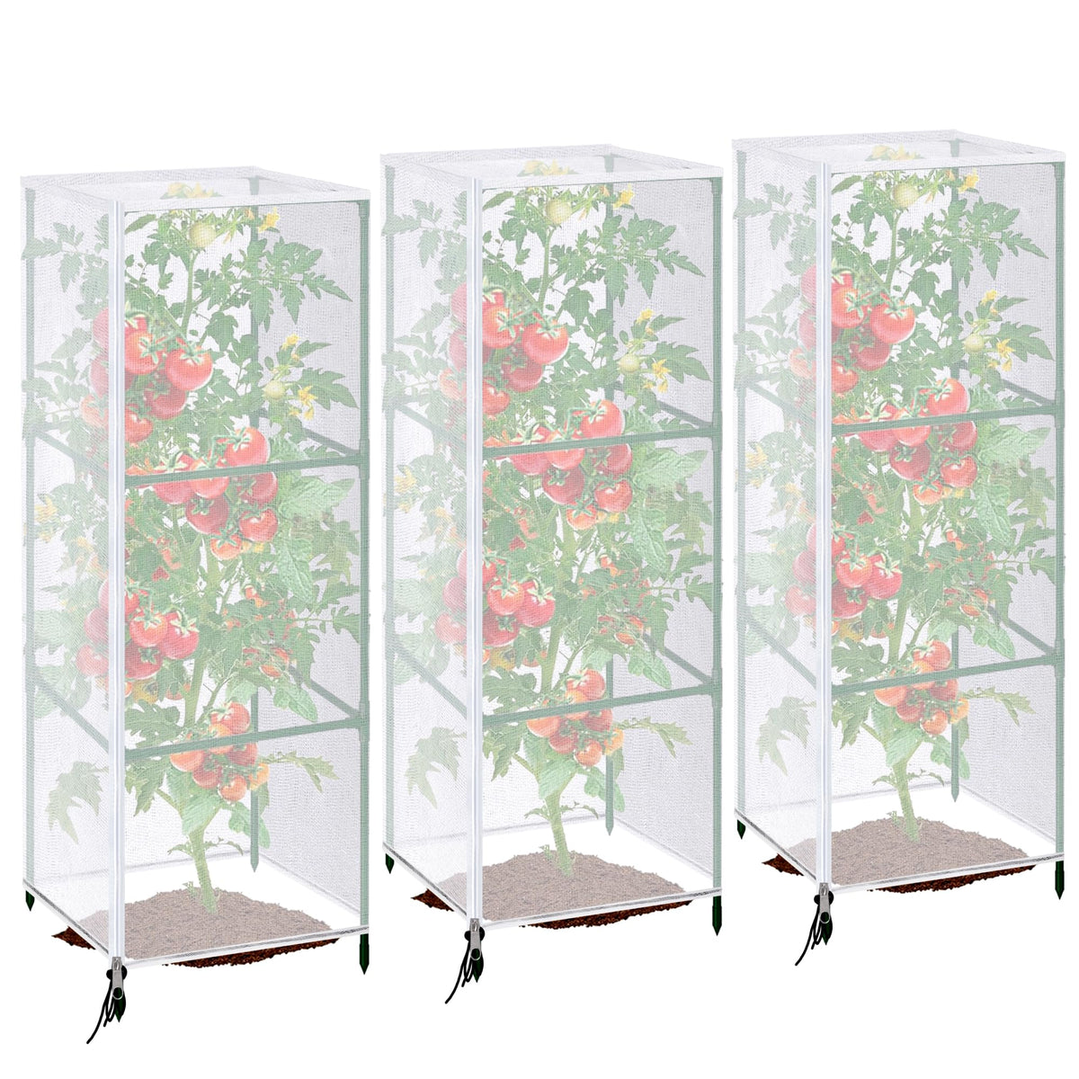 Purple Star 1N bird netting cover protecting tomatoes while breathable