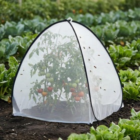 Purple Star 1N breathable mesh design allows sunlight and airflow