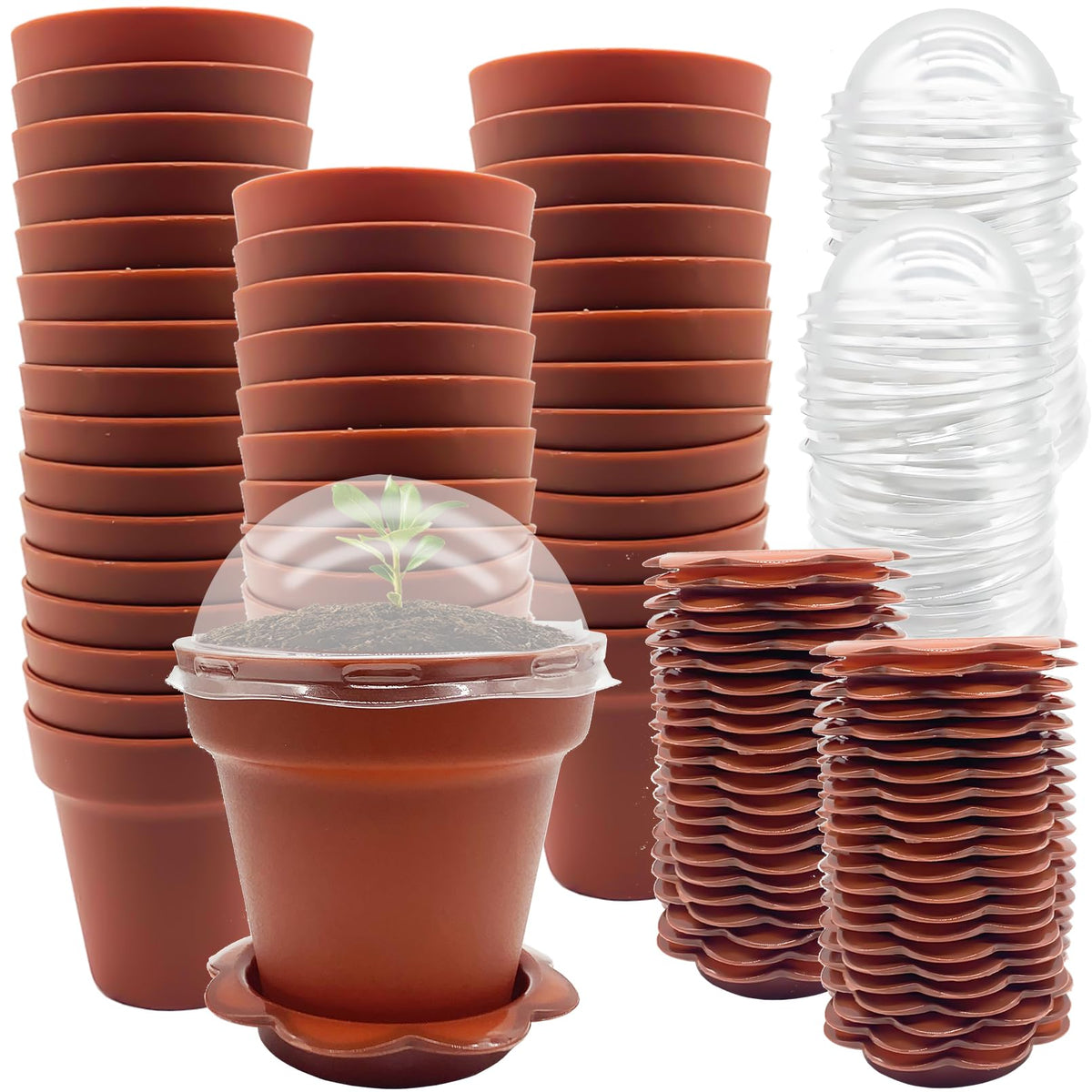 PURPLE STAR 1N cupcake pot set with humidity dome for easy seed germination observation.
