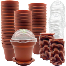 PURPLE STAR 1N cupcake pot set with humidity dome for easy seed germination observation.