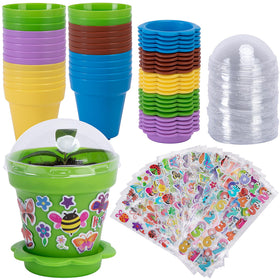 Purple Star 1N cupcake pots set in mixed colors for seedling start and display