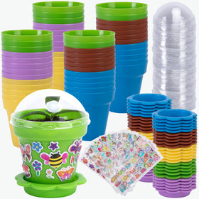 PURPLE STAR 1N cupcake pot with clear humidity dome for seedling observation