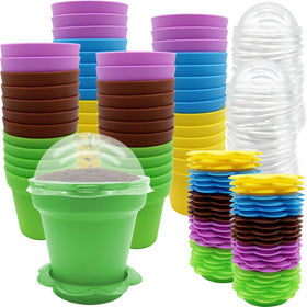 Purple Star 1N cupcake pots with humidity dome for seedling growth protection.