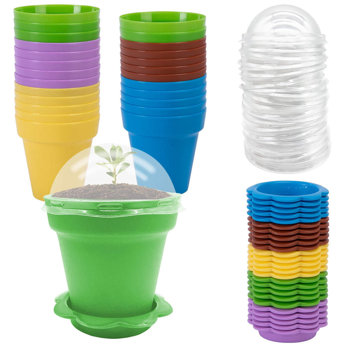 Purple Star 1N cupcake pots in mixed colors for vibrant seedling display