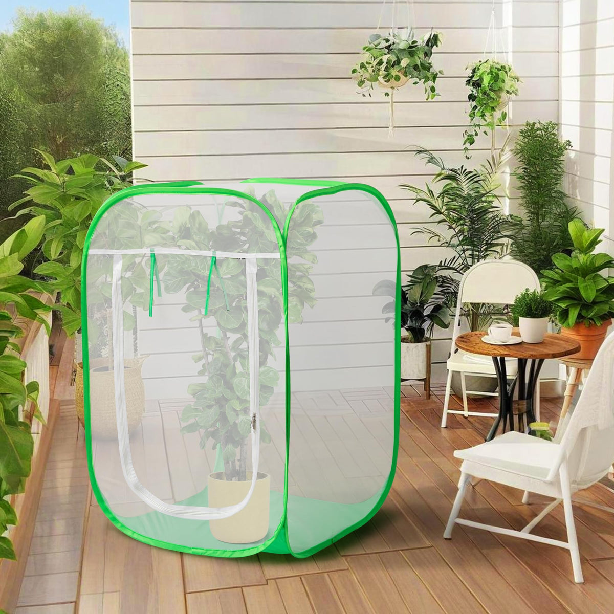 Protects plants from insects and birds with PURPLE STAR 1N mesh enclosure