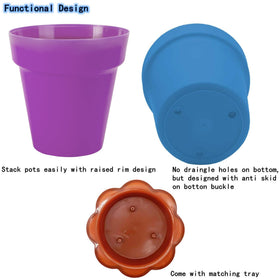 Purple Star 1N humidity dome keeps soil moisture visible for seedlings
