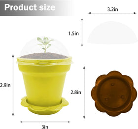 Purple Star 1N transparent humidity dome preserves moisture while watching growth.
