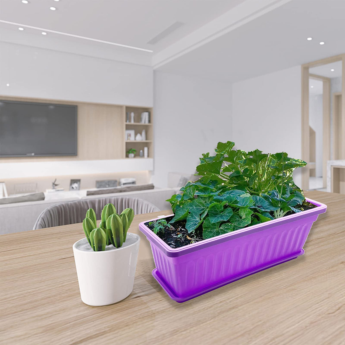 PURPLE STAR 1N sturdy plastic planters resist weather and reuse seasonally.