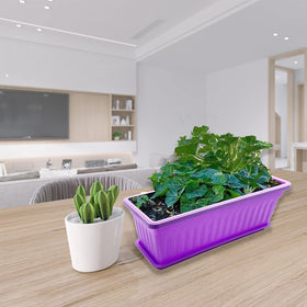 PURPLE STAR 1N sturdy plastic planters resist weather and reuse seasonally.