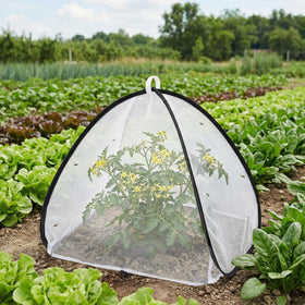 Purple Star 1N outdoor garden tent protects vegetables and fruits while growing