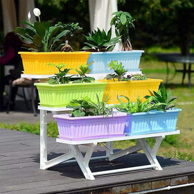 PURPLE STAR 1N 4-pack for balcony, patio, and windowsill setups.