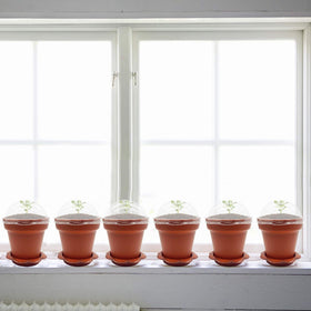 Purple Star 1N included plastic shovel aids quick potting and transplanting