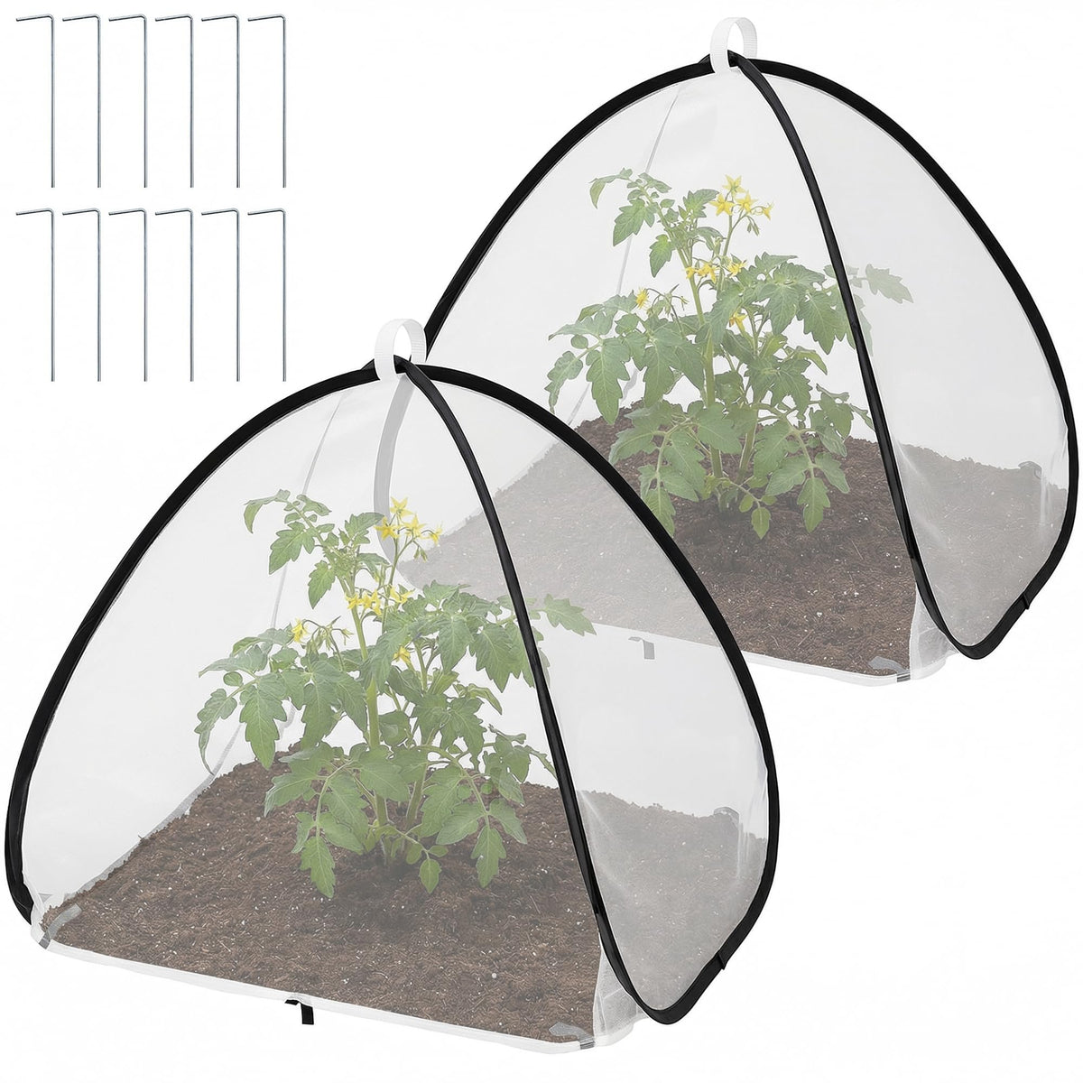 Purple Star 1N pop-up insect barrier cover in setup mode protects plants from birds and pests