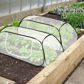 PURPLE STAR 1N raised bed under protective cover guarding vegetables.
