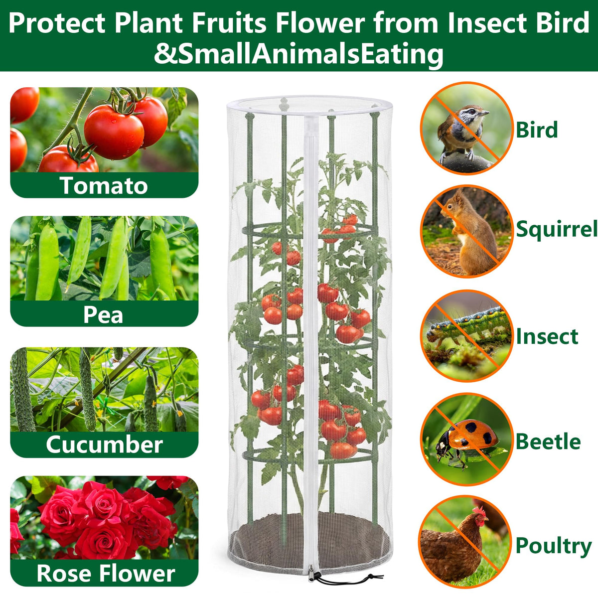 Purple Star 1N round cage netting shields tomatoes and other crops outdoors.