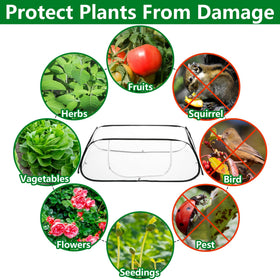 PURPLE STAR 1N side zipper door for easy access during watering.