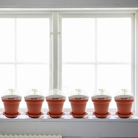 PURPLE STAR 1N sturdy plastic pot side view highlighting durability in wine red.