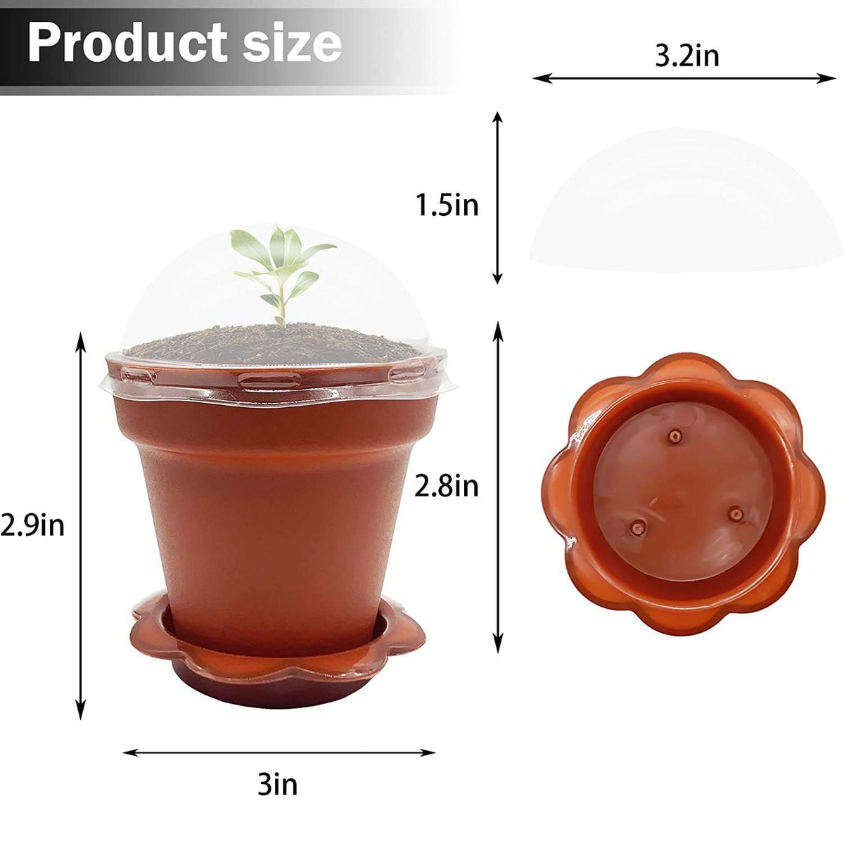 PURPLE STAR 1N transparent cover to monitor growth without disturbance in wine red.