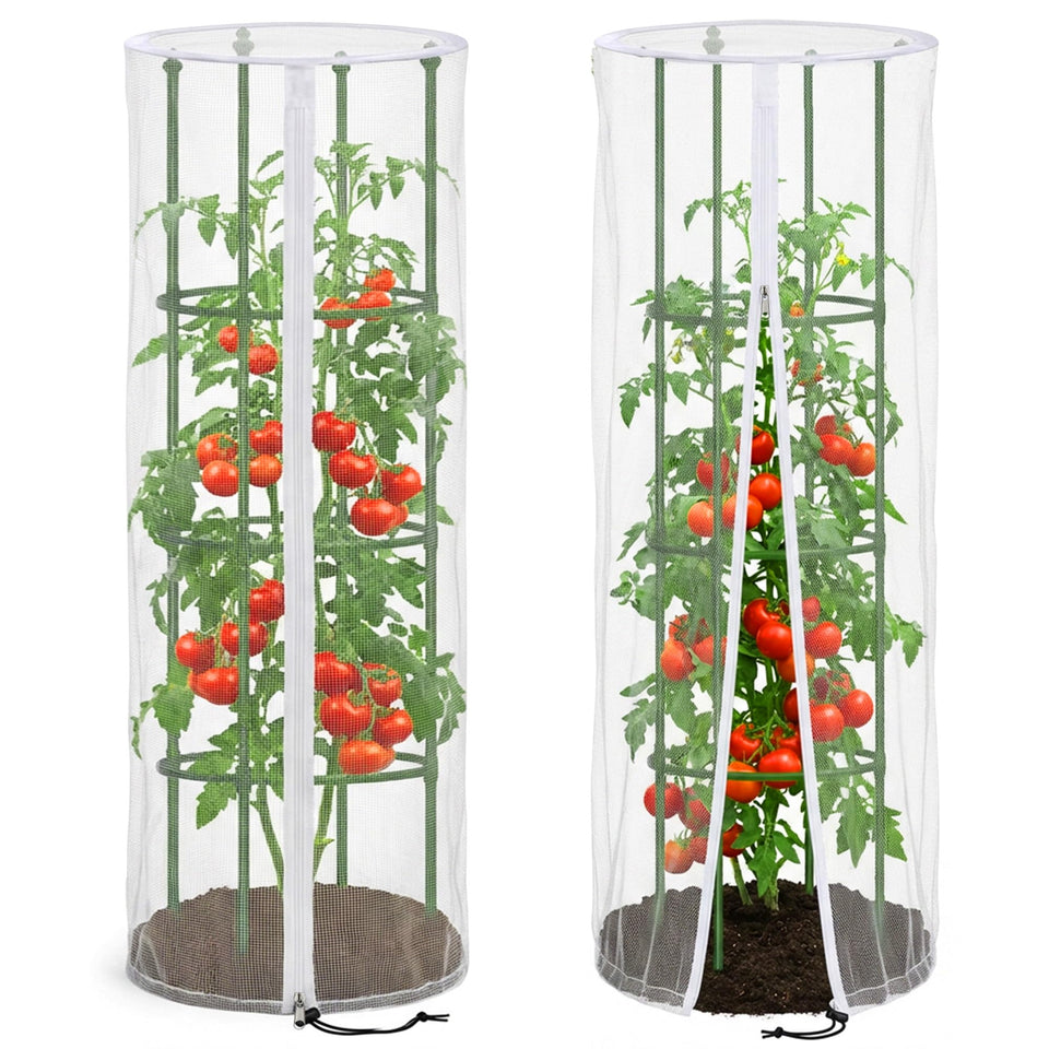 PURPLE STAR 1N bird netting cover on a round tomato cage protects against insects and birds.