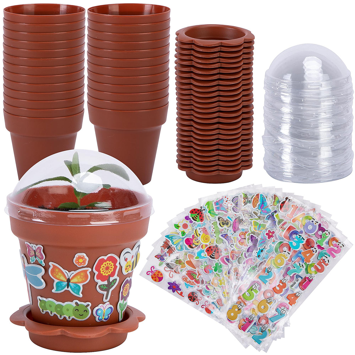 Purple Star 1N cupcake pot in wine red with clear dome for seedling monitoring