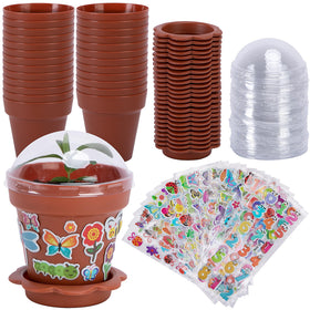 Purple Star 1N cupcake pot in wine red with clear dome for seedling monitoring