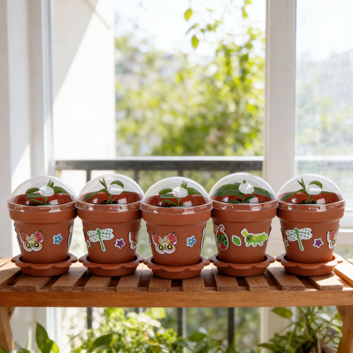 Purple Star 1N patterned pots add charm to homes, offices, and classrooms