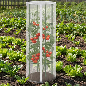 PURPLE STAR 1N fits vertical climbing plants and fruits securely.
