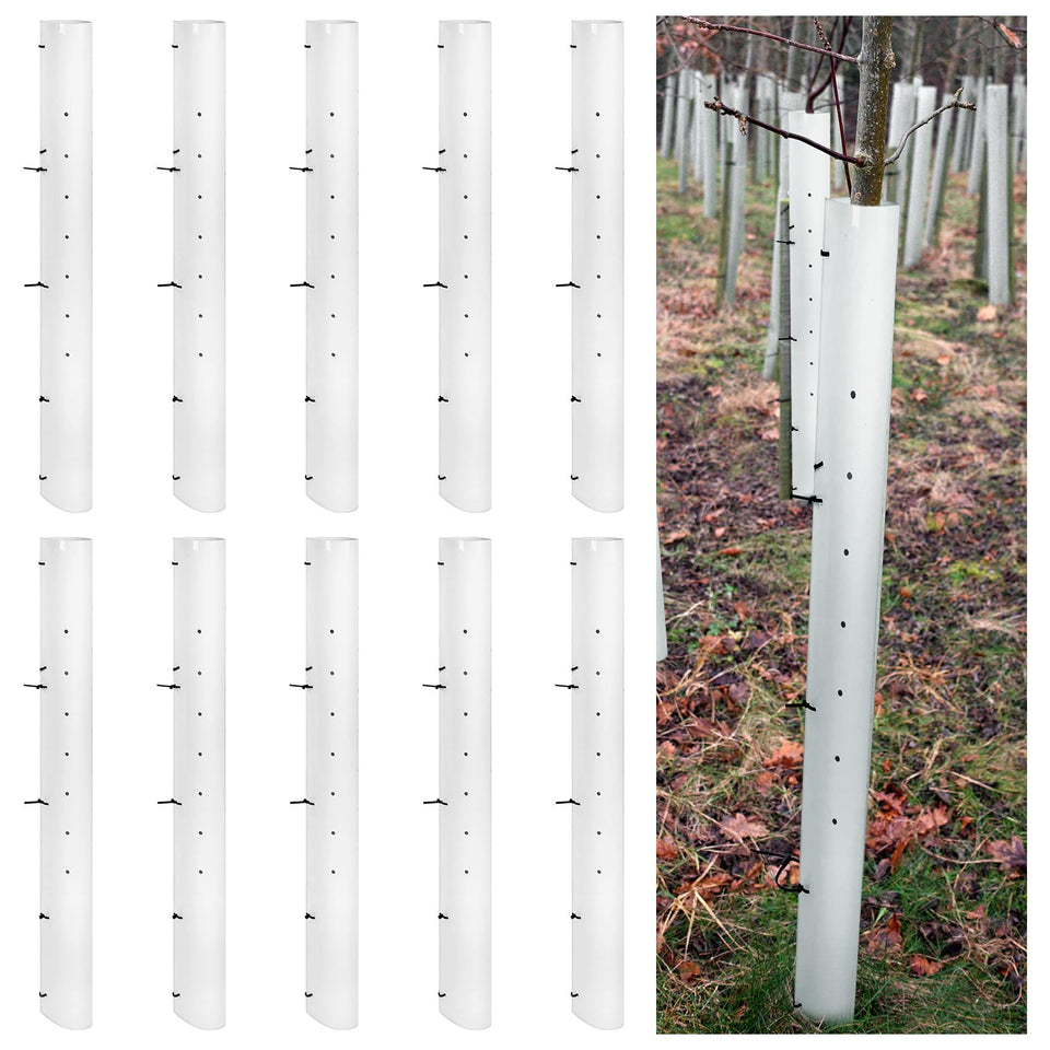 Pushglossy tree grow tube assembly demonstrates easy setup and reusable design.