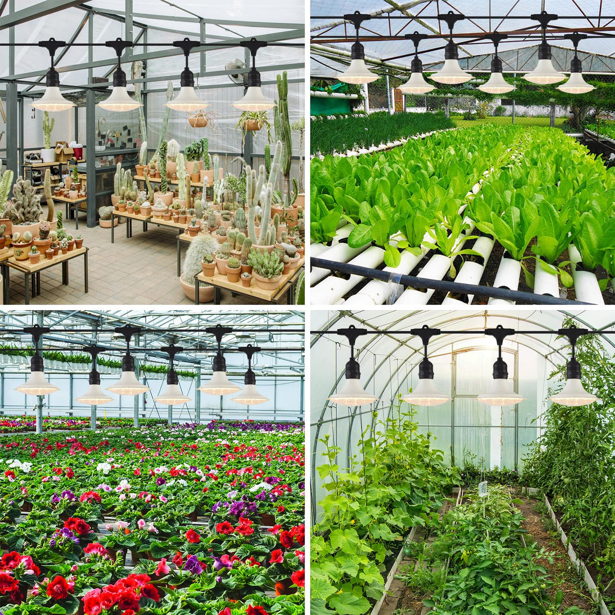 PuxiGrow six-light kit supports seedlings, vegetables, and flowers in outdoor spaces