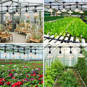 PuxiGrow six-light kit supports seedlings, vegetables, and flowers in outdoor spaces