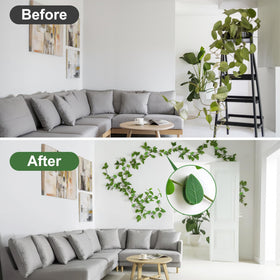 Pwfkgo multipurpose vine fixation on wall image suggesting versatile plant support.