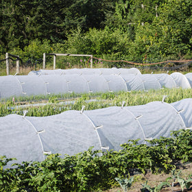 Pwfkgo clip secures nets and row covers against wind.