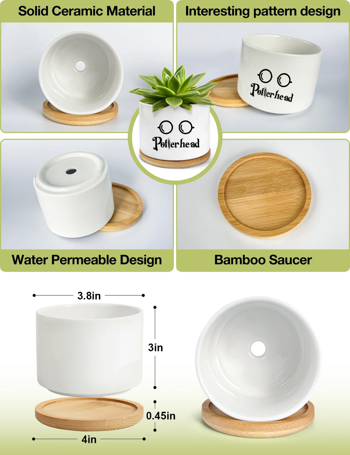 PWHINGN compact 4 inch round succulent pot fits small plants neatly.
