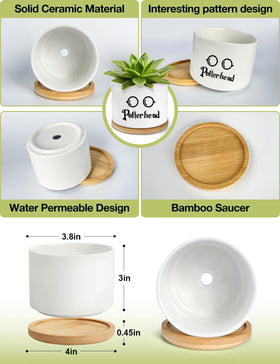 PWHINGN compact 4 inch round succulent pot fits small plants neatly.