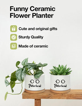 PWHINGN bamboo tray catches excess water and protects surfaces.