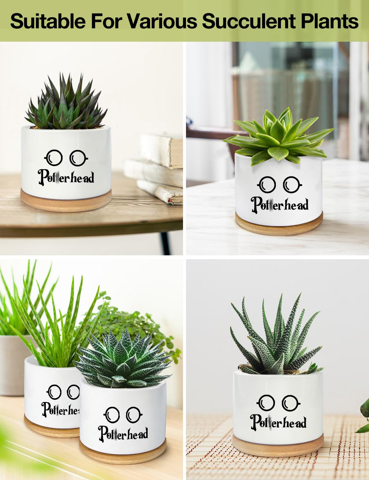 PWHINGN durable ceramic pot with smooth glaze resists fading over time.