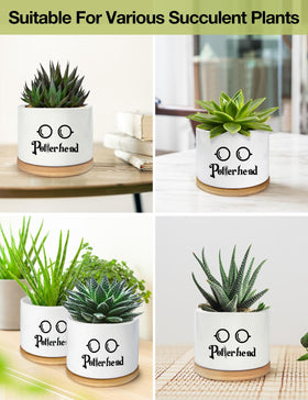 PWHINGN durable ceramic pot with smooth glaze resists fading over time.