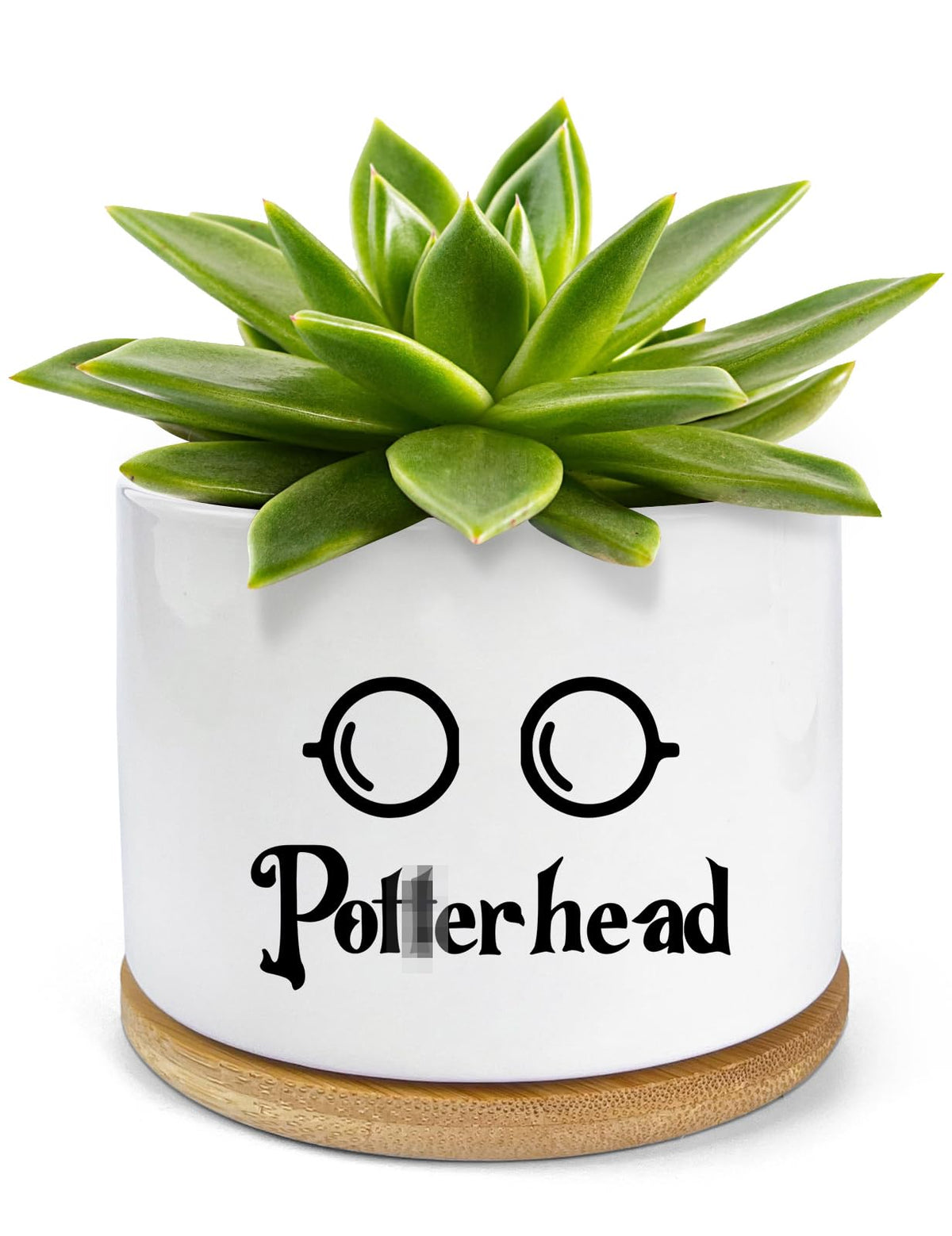 PWHINGN funny ceramic succulent pot with drainage bamboo tray for desks.