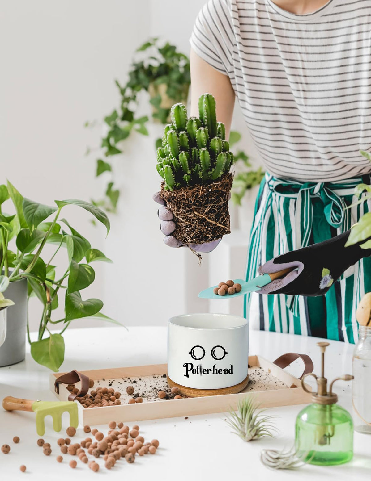 PWHINGN gift ready succulent pot for plant lovers, teachers, and friends.