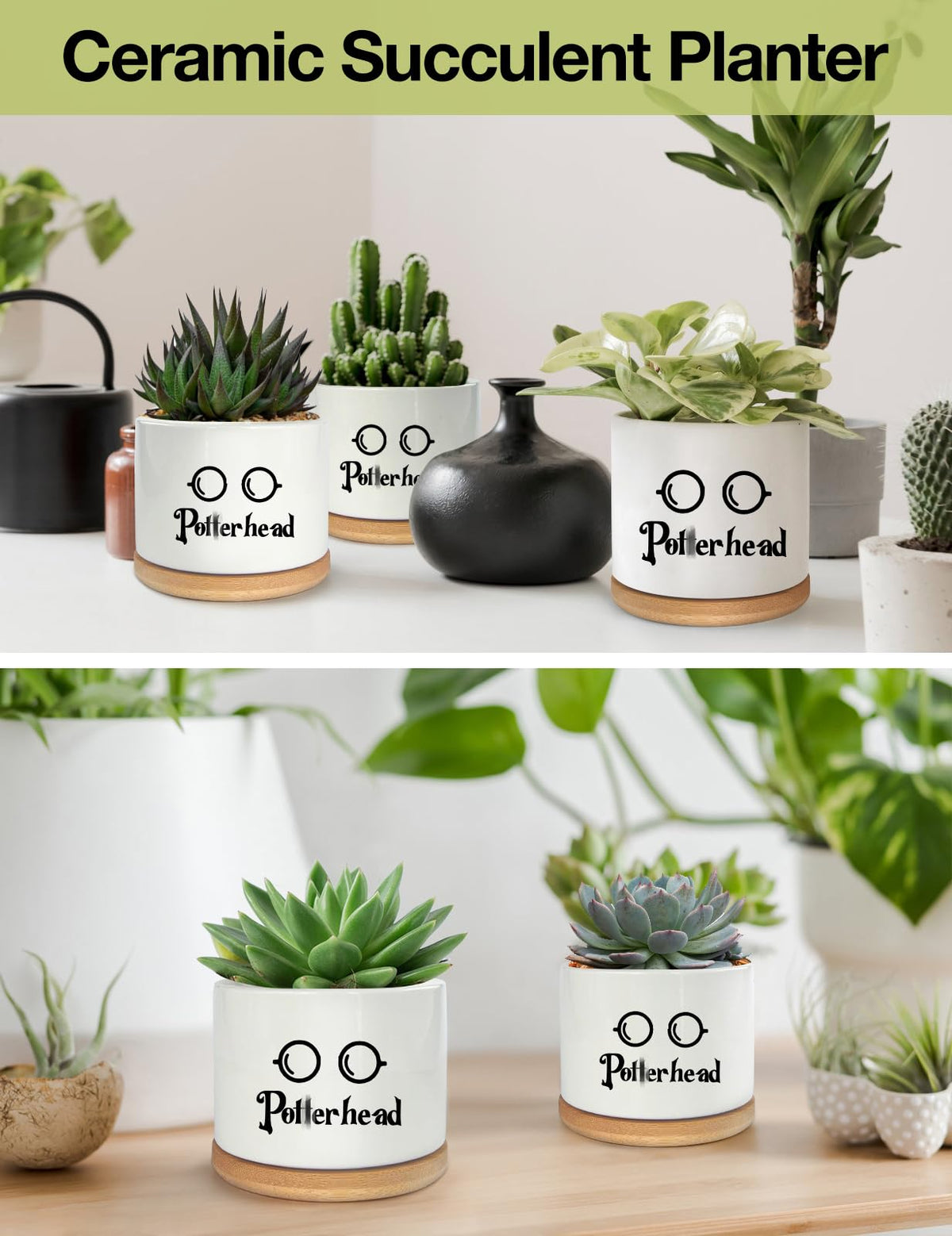 PWHINGN white glazed ceramic succulent pot highlighting drainage for healthy roots.