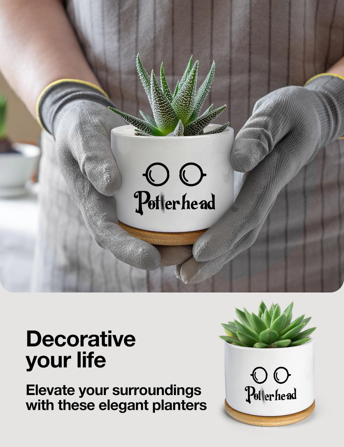 PWHINGN window sill decor succulent pot from PWHINGN enhances office spaces.